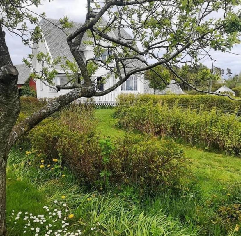 Shared Farmhouse Stavanger Exteriér fotografie