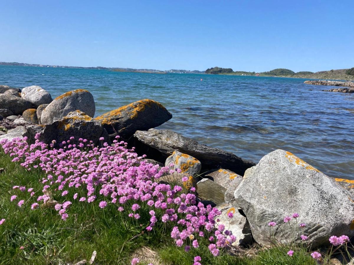 Shared Farmhouse Stavanger Exteriér fotografie